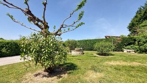 Ein Garten mit Baum, Steinpflanzgefäß und Hecke.