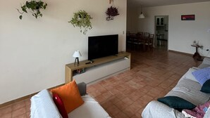 En stue med fjernsyn, sofa, spiseplads og hængende planter.