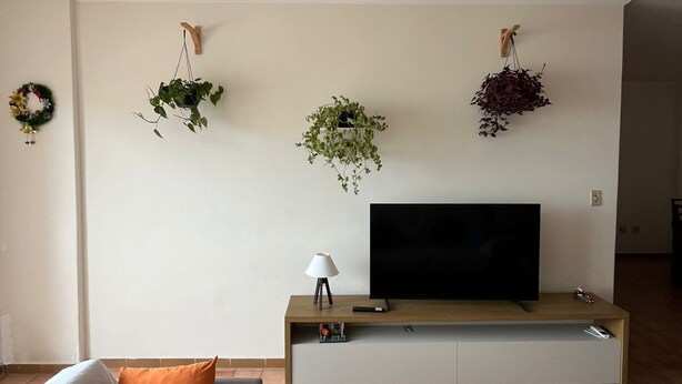 En stue med en sofa, et fjernsyn p å et træstel og tre vægmonterede plantekasser.