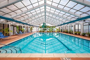 An indoor swimming pool with clear glass ceiling, blue lounge chairs, and potted plants. - 2 Bedroom Condo W/ View of Bay & Ocean (Ocean City)