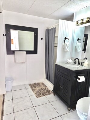 Hair dryer, towels, soap, toilet paper - ENTIRE 1Bd/1Ba Apartment nr Beaches & Shops (St. Petersburg)