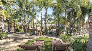 Un complexe hôtelier tropical doté de palmiers, d’une piscine et de chaises longues en bois.