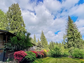 A house surrounded by tall evergreen trees, a wooden deck, and colorful flowering shrubs.