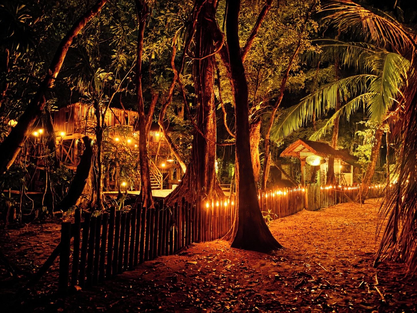 A forested area with a wooden structure and a thatched-roof building, surrounded by trees and illuminated by string lights.
