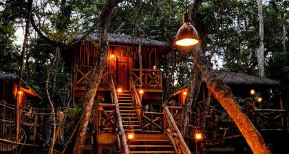 Spix's Oceanfront Jungle treehouse