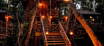 Spix's Oceanfront Jungle treehouse