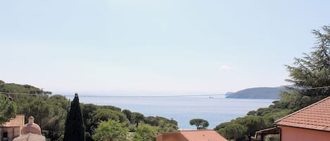 Vistas desde el alojamiento