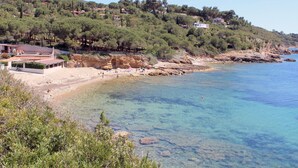 Ranta
