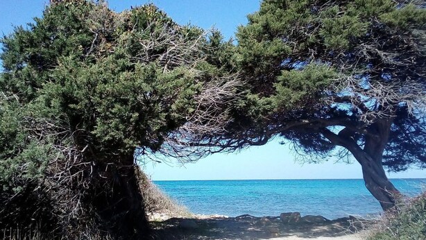 Beach - La Caletta Zentral by Interhome (La Caletta)