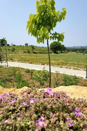 Property grounds - Wohnung "Bungalow" mit Whirlpool by Interhome (Arezzo)
