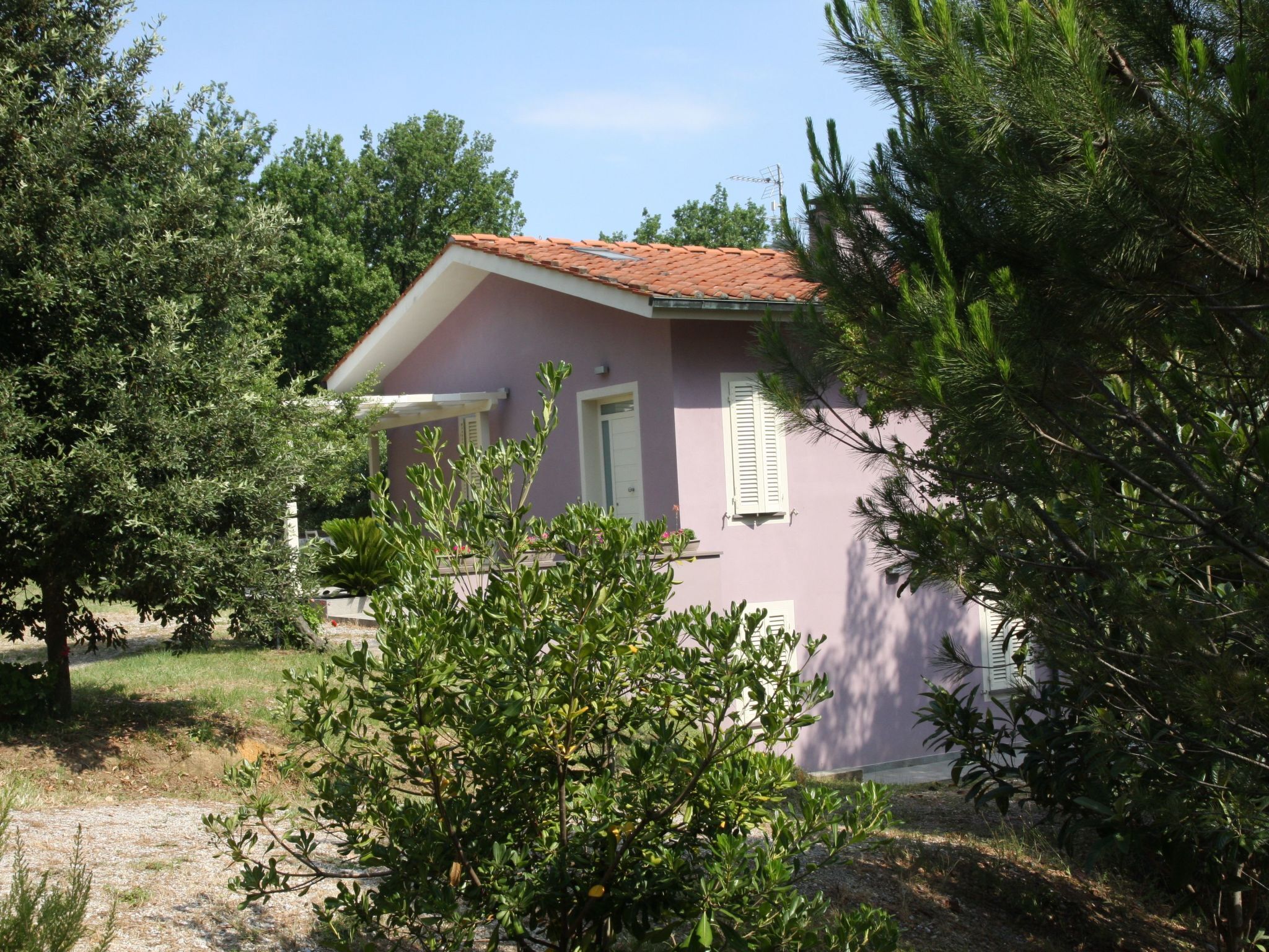 Esterni