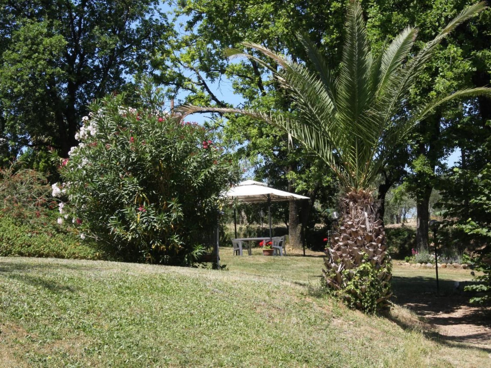 Parco della struttura