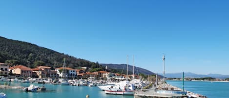 A marina with boats docked, a pier, and buildings in the background.
