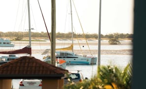 A marina with multiple sailboats docked, a clear view of the water, and a distant shoreline. - Absolute Broadwater Escape (Labrador)