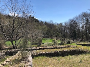 Property grounds - Mago in Ameglia by Interhome (Ameglia)