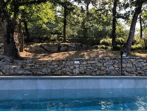 Pool - Mago in Ameglia by Interhome (Ameglia)