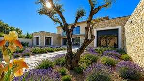 A modern house with stone walls, a garden with lavender, and a large tree. - Stunning home in Mollans-sur-Ouvèze with sauna (Mollans-sur-Ouvèze)
