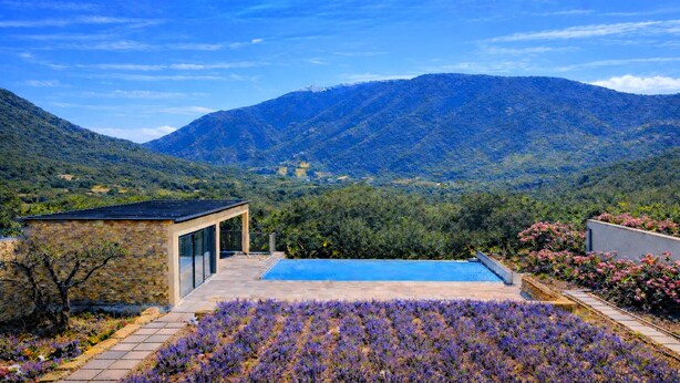 A modern building with a pool, surrounded by a garden with purple flowers, and a mountainous backdrop. - Stunning home in Mollans-sur-Ouvèze with sauna (Mollans-sur-Ouvèze)