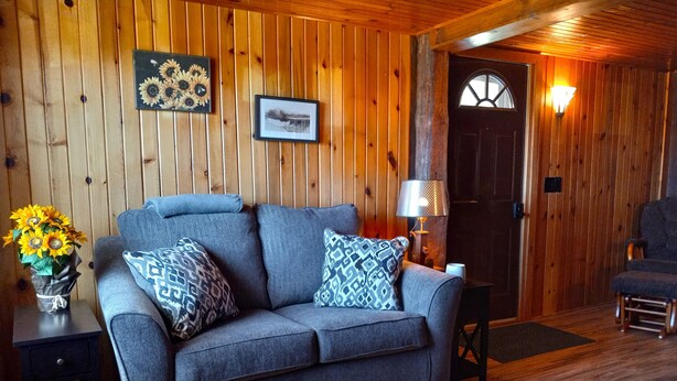 Ein gemütliches Zimmer mit grauem Sofa, gemusterten Kissen, einer Vase mit Sonnenblumen und Holzwänden.