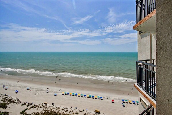 On the beach - Oceanfront King w/Balcony & Kitchen | Dog Friendly (Myrtle Beach)