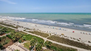 A beach with a pathway, palm trees, and beach umbrellas. - Oceanfront King Studio w/ Sleeper Sofa + Pools (Myrtle Beach)