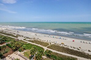 A beach with a pathway, palm trees, and beach umbrellas. - Oceanfront King w/Balcony & Kitchen | Dog Friendly (Myrtle Beach)