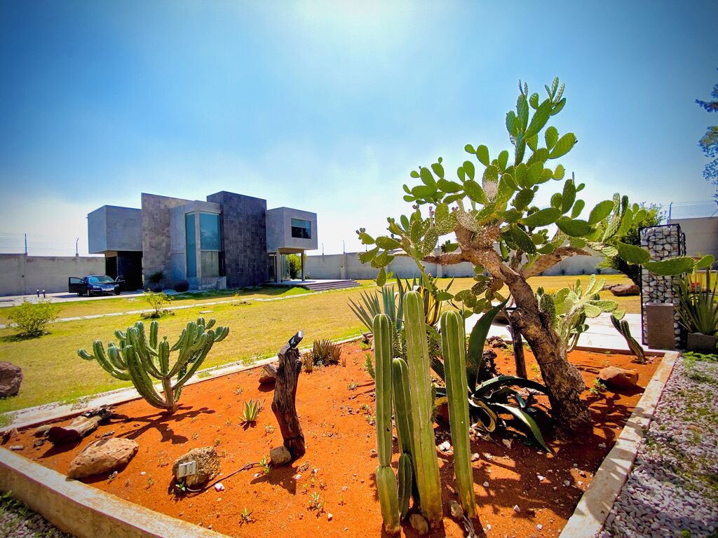 A modern building with a glass facade, surrounded by a landscaped garden with cacti and other desert plants.