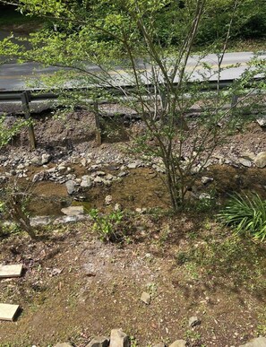 Property grounds - The Bear’s Den / 3 min from downtown Gatlinburg / Self check-in / Hot Tub (Gatlinburg)