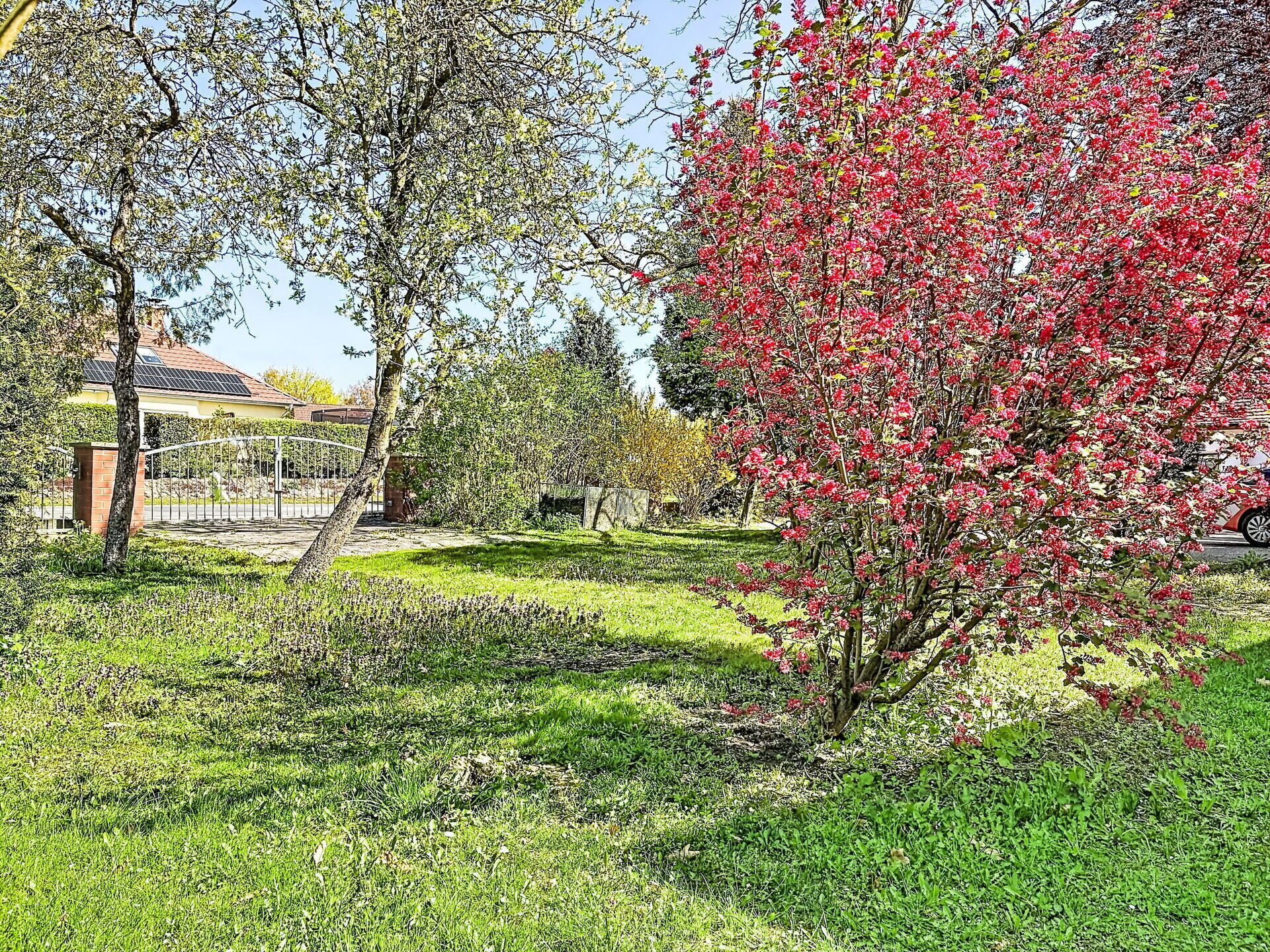 Jardin, Couverture De Sol, Tronc, Printemps, Pelouse, Arrière-Cour, Ombre, Cour, Aménagement Paysager, Caractéristique De L'Eau