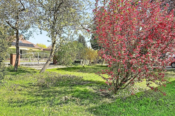 Jardin, Couverture De Sol, Tronc, Printemps, Pelouse, Arrière-Cour, Ombre, Cour, Aménagement Paysager, Caractéristique De L'Eau