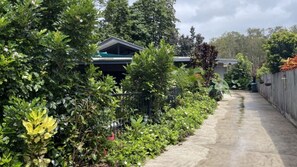 A residential property with a paved driveway, dense foliage, and a house with a sloped roof.