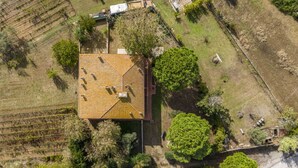 Exterior - Holiday Home Giannella by Interhome (Ansedonia)