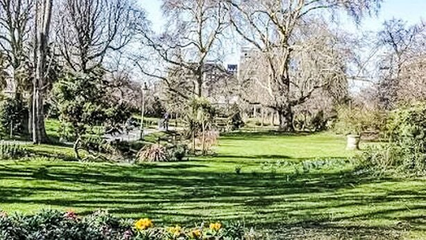 Ein Park mit Rasen, Bäumen und einem Gebäude im Hintergrund.