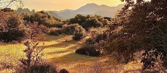 Luxury Pioneertown Ranch + Spa Under Joshua Trees + Star Bed +Walk to Pappy's
