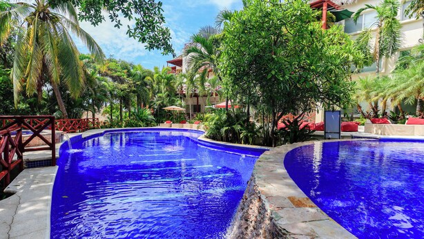 Una zona de piscina con diseño curvo, rodeada de abundante vegetación y palmeras.