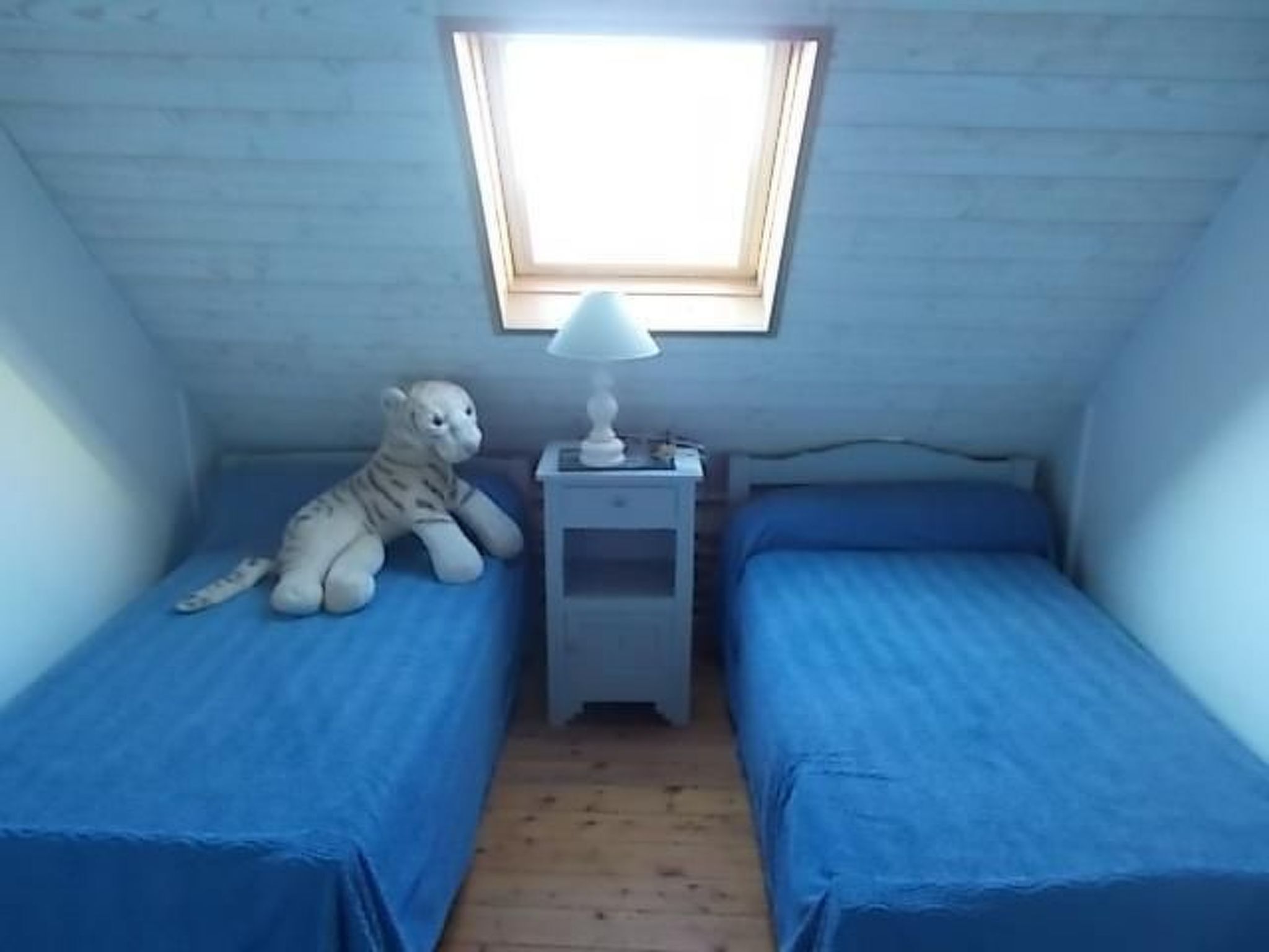 Kamer