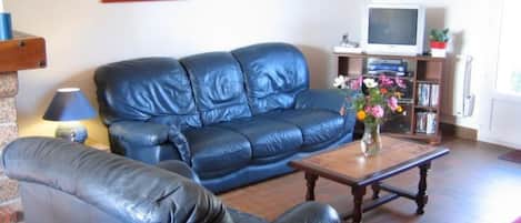 Televisie, een open haard en een dvd-speler