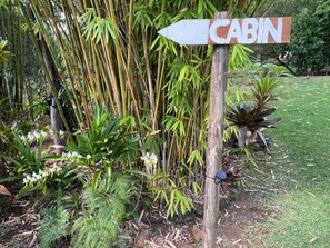 Ein hölzernes Wegweiser mit der Aufschrift 'CABIN', umgeben von Bambus und verschiedenen Pflanzen.
