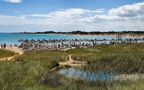 Strand