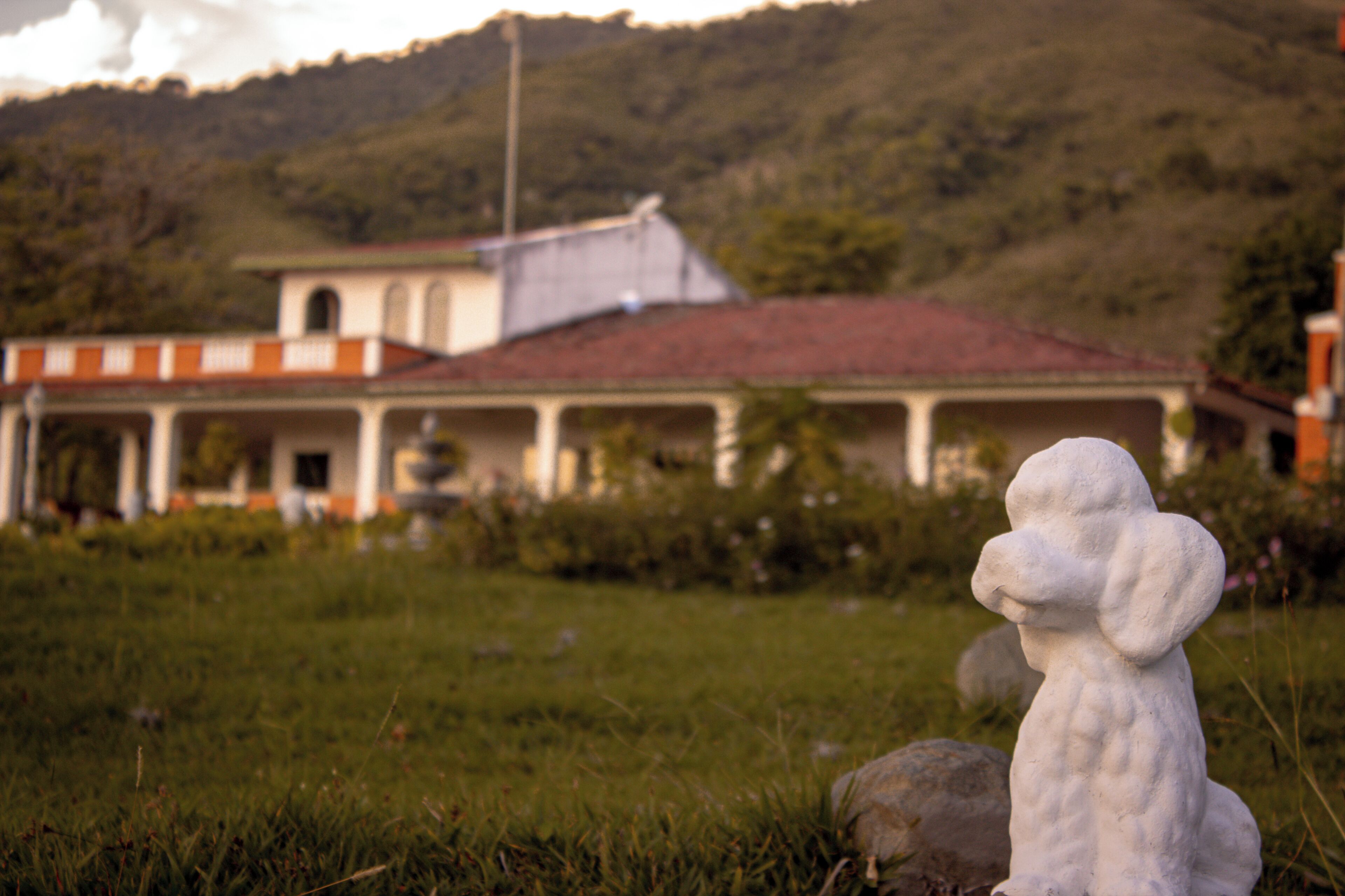 Una estatua en una zona cubierta de césped con un edificio al fondo.