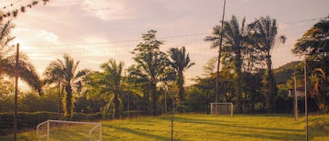 Terrain de sport