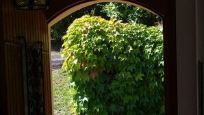 Unclassified image, 3 of 33, button - mit Pool by Interhome (Limone sul Garda)