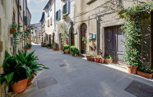A narrow street lined with historic buildings, potted plants, and a metal grate on the pavement.
