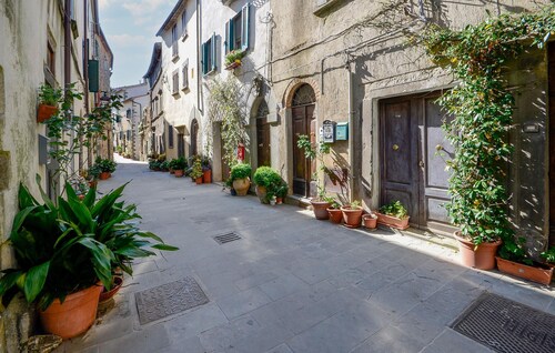 2 bedroom pet friendly apartment in Scansano
