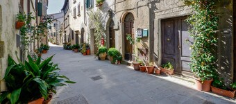 2 bedroom pet friendly apartment in Scansano