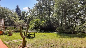 Un jardin avec une table en bois et des plantes en pot.