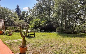 Property grounds - 2 bedroom stunning home in Monteverdi Marittimo (Monteverdi Marittimo)