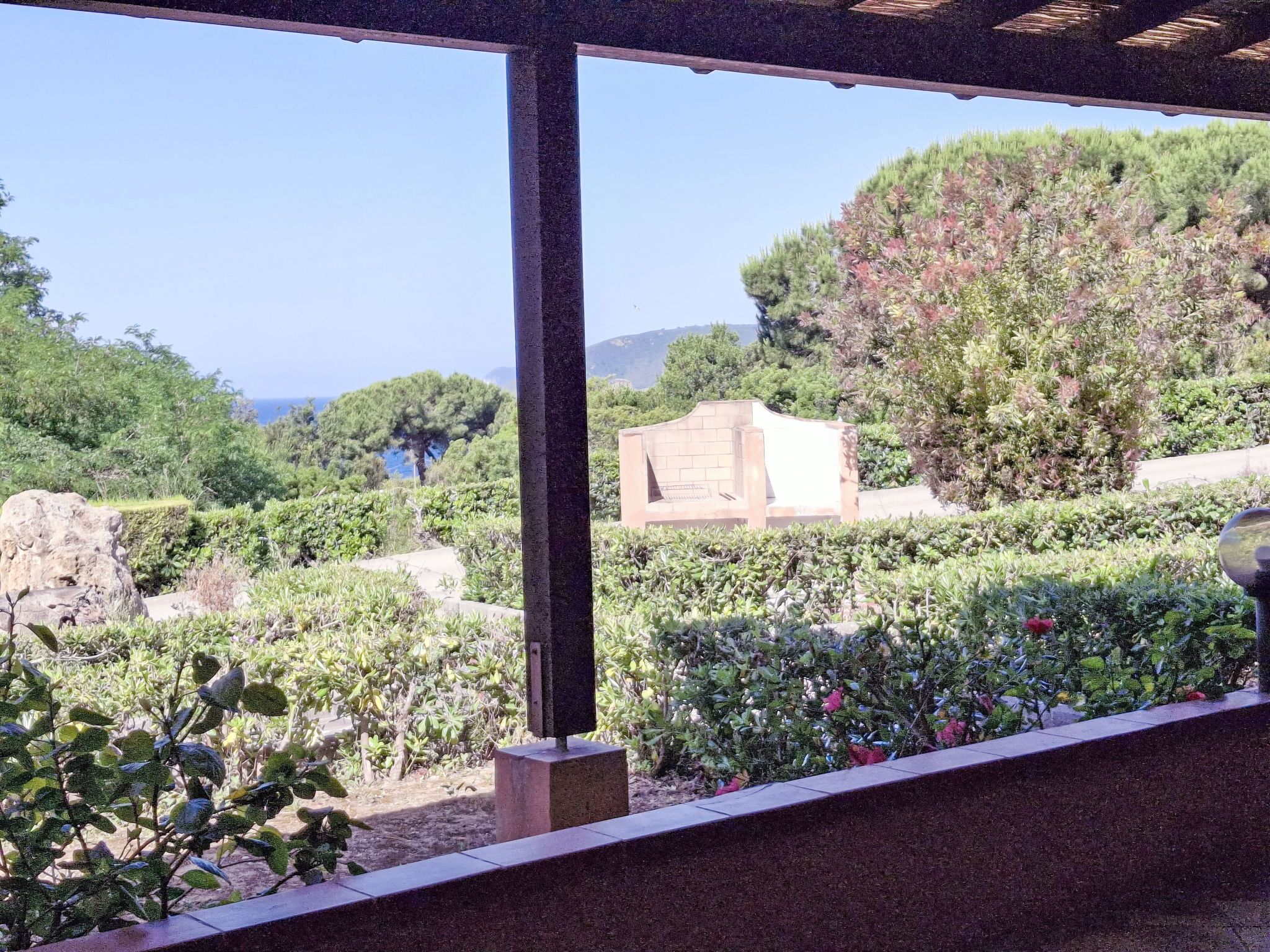 Un jardin agrémenté de diverses plantes et doté d’une structure en forme de pergola.