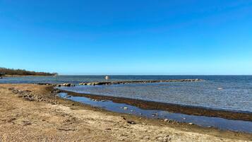 Pesca