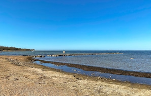 Pesca